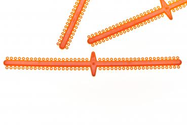 Preview: smartALASTICS, Orange