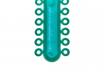 smartALASTICS, Türkis-Grün