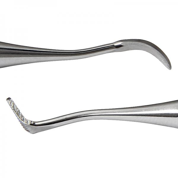 Scaler und Bandandrücker