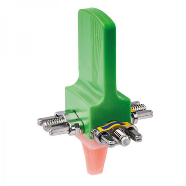 Mehrsektorenschraube nach Bertoni