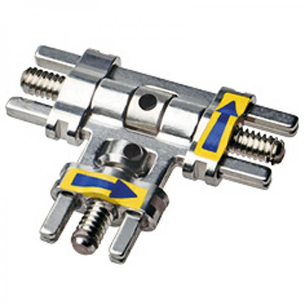 Mehrsektorenschraube nach Bertoni